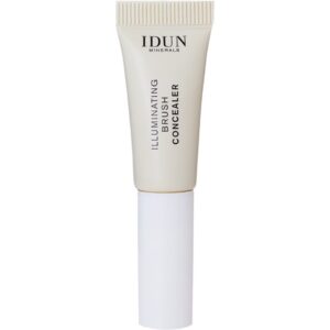IDUN Illuminating Brush Concealer