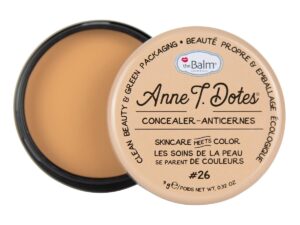 Anne T. Dotes Concealer