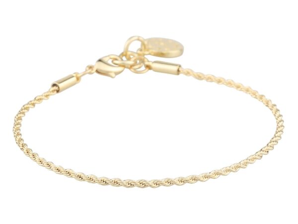 Anklet Madeleine Plain Gold